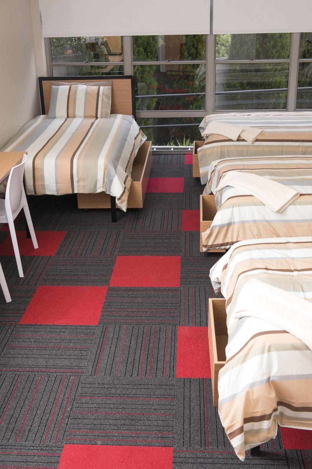 הוסטל Sydney Student Living מראה חיצוני תמונה
